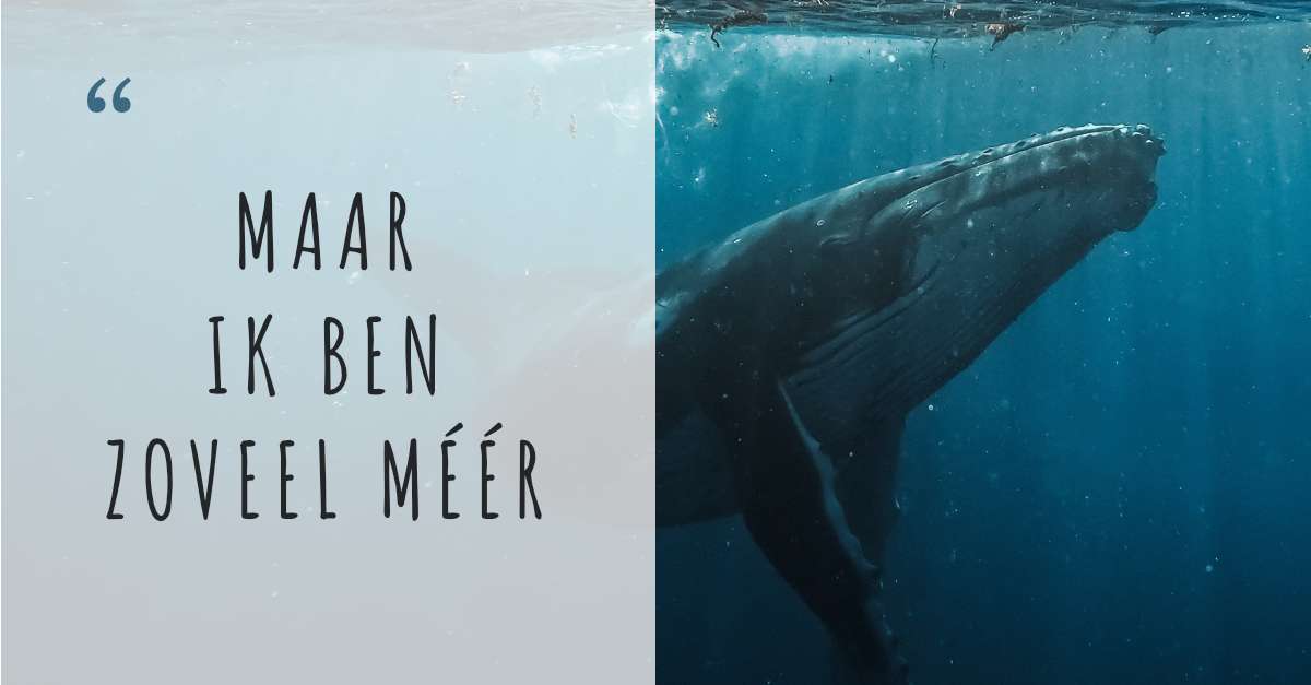 Afbeelding van een walvis en daarover de tekst: "Maar ik ben zoveel méér"
