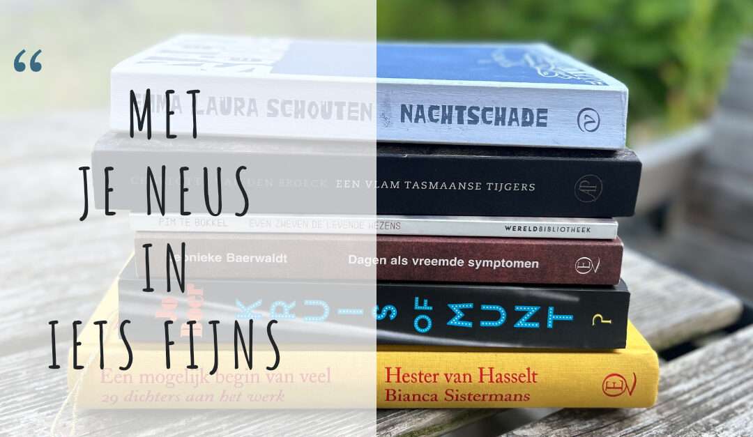 10 Boekentips voor de zomer van 2026 (of daarna)